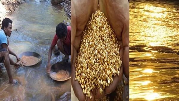 भारतातील अशी नदीच्या जिच्या पाण्यात सोन्याचे कण सापडतात, कुठे आहे नेमकी ?