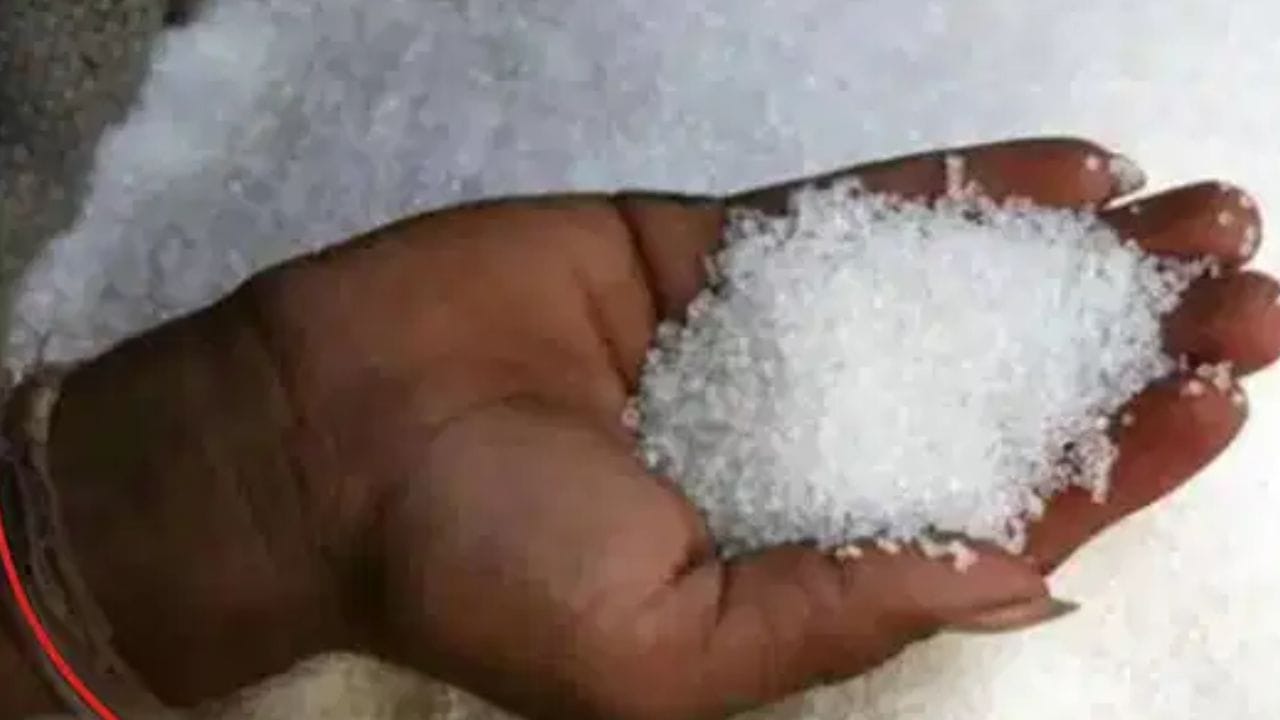देशात राजस्थाननमध्ये 26.65 टक्क्यांवरून 25.15 टक्क्यांपर्यंत घसरला आहे. राजस्थानमध्ये सप्टेंबर महिन्यात महागाईचा दर किंचिंत कमी झाला आहे.