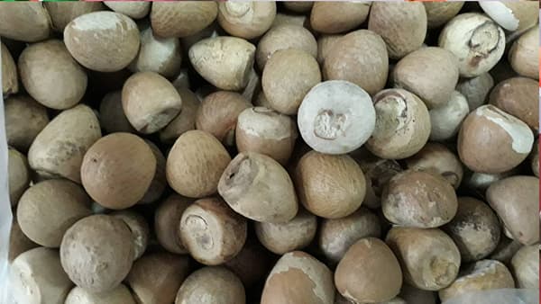 FDA : 10 कोटींची सुपारी फक्त कागदोपत्रीच नष्ट; त्या नेत्याने दिली माहिती, FDA च्या पाच अधिकाऱ्यांवर थेट…