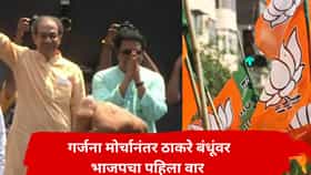 ठाकरे बंधूंच्या गर्जना मोर्चावर भाजपमधून पहिली प्रतिक्रिया, म्हणाले, 'आधी वाभाडे काढले, कपडे फाडले, आता...'