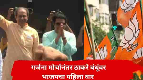ठाकरे बंधूंच्या गर्जना मोर्चावर भाजपमधून पहिली प्रतिक्रिया, म्हणाले, आधी वाभाडे काढले, कपडे फाडले, आता...