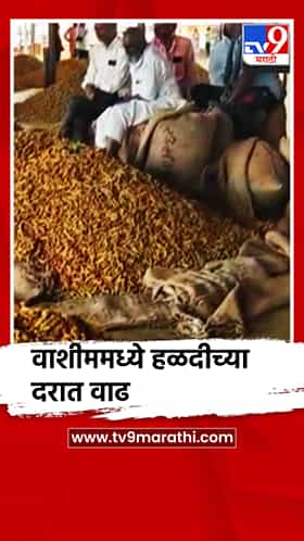 बाजार समितीमध्ये हळदीच्या दरात वाढ