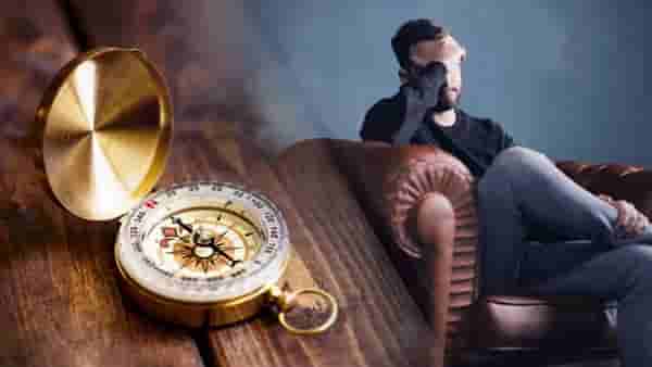 Vastu Shastra : सारखी भांडणं होतायेत, मग ही झाडं तर तुमच्या घरात नाहीयेत ना? वास्तुशास्त्र काय सांगतं?
