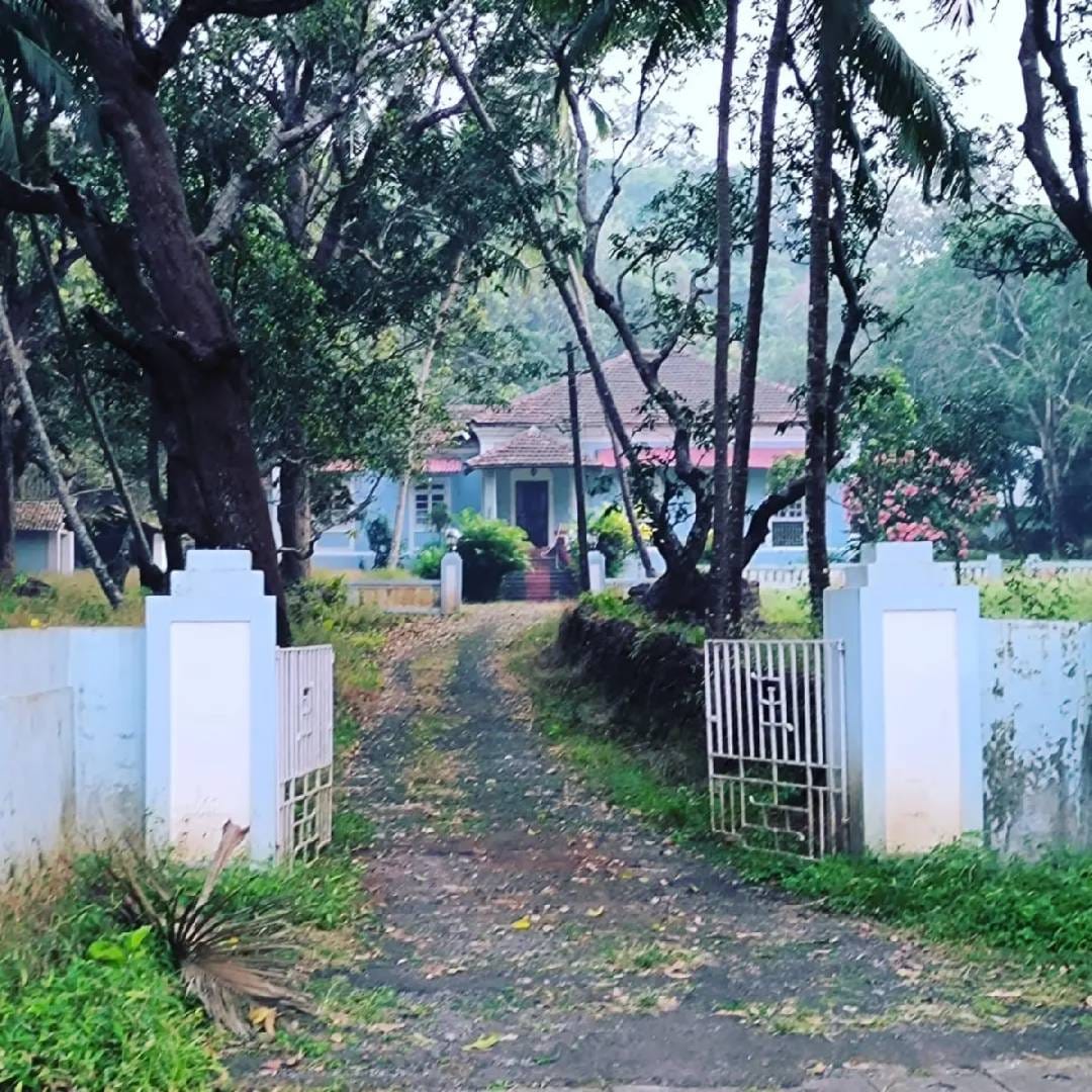 ‘दृश्यम’च्या कथेत हे घर साधं दिसत असलं, तरी त्याच्या भिंतींमध्ये विजयच्या कुटुंबाची अनेक गुपितं दडलेली असल्याचं दाखवण्यात आलं आहे. घरातील वातावरणही तुलनेने उबदार आणि सुखी कुटुंबाचं आयुष्य दाखवणारं होतं. मात्र दुसऱ्या भागात कथानक अधिक गंभीर होत गेलं आणि घराच्या रंगसंगतीतही बदल दिसून आला.