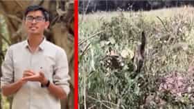 Vivekanand Patil : कर्जत-भीमाशंकरमध्ये 32 हजार झाडांवर कुऱ्हाड? विवेकानंद पाटील म्हणाले, शेवटपर्यंत....