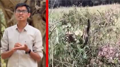 कर्जत-भीमाशंकरमध्ये 32 हजार झाडांवर कुऱ्हाड? विवेकानंद पाटील म्हणाले-1789165