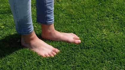 दररोज हिरव्यागार गवतावर अनवाणी चालल्याने काय होतं ?.
