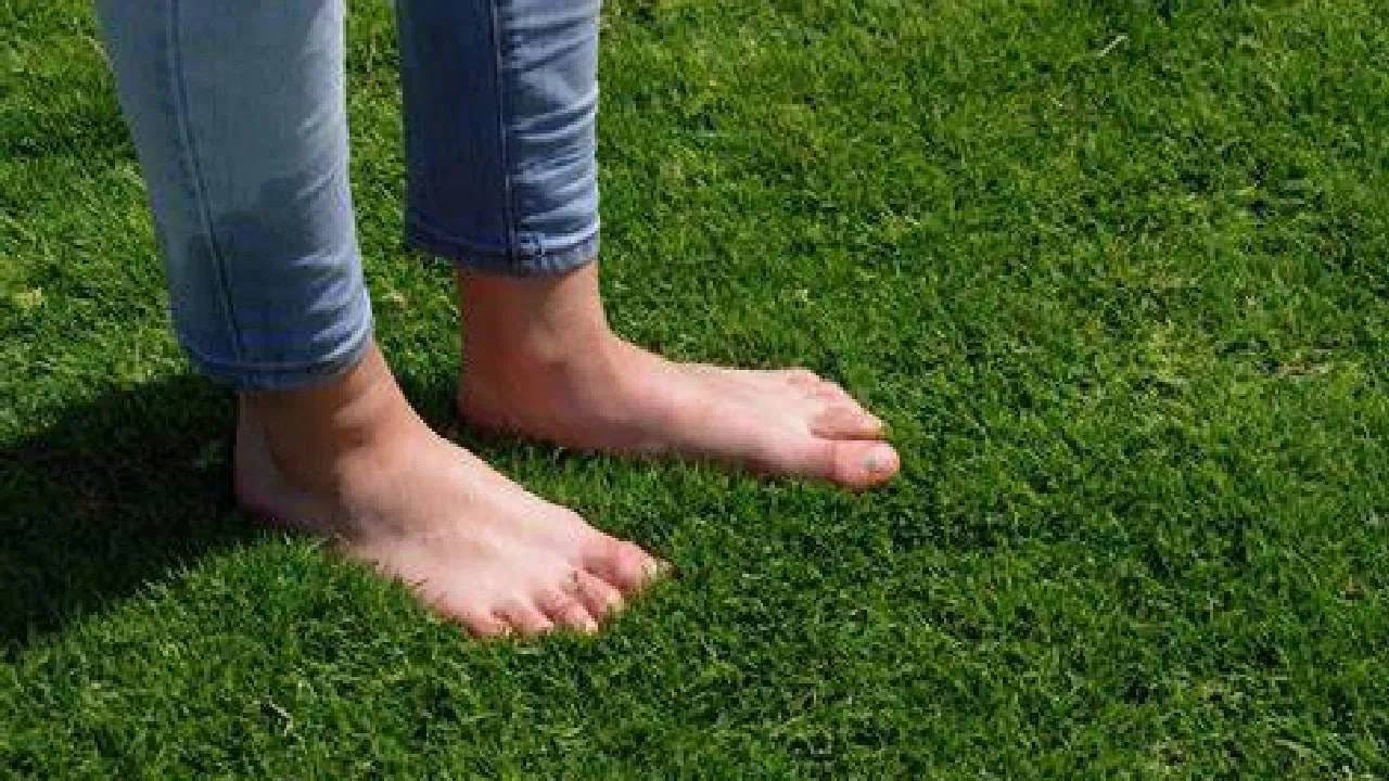 गवतासारख्या नैसर्गिक पृष्ठभागावर अनवाणी चालल्याने पायांच्या लहान स्नायूंना आणि घोट्यांना सक्रियपणे काम करावे लागते. त्यामुळे काही व्यक्तींमध्ये पायांची ताकद, संतुलन आणि हालचाली सुधारण्यास मदत होऊ शकते. मात्र, पायांचे दुखणे कमी होईलच असे नाही. आधीपासून पायांचे दुखणे किंवा इतर समस्या असल्यास तज्ज्ञांचा सल्ला घेणे योग्य ठरते. नियमित चालणे, सक्रिय जीवनशैली राखणे आणि निसर्गाच्या सान्निध्यात वेळ घालवणे या सवयी एकूण आरोग्यासाठी फायदेशीर आहेत. चालण्यामुळे शारीरिक हालचाल वाढते, मन प्रसन्न राहण्यास मदत होते आणि दैनंदिन जीवनात उत्साह जाणवू शकतो.