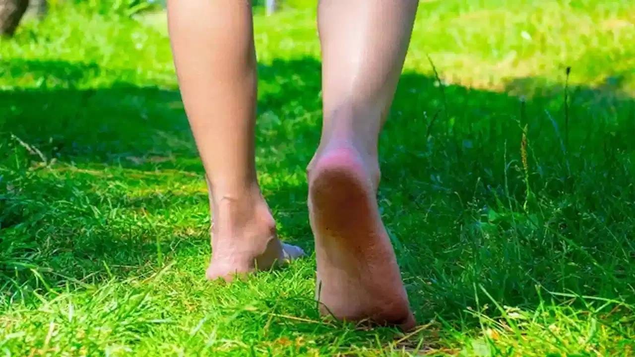 आजच्या व्यस्त जीवनात कामाचा ताण, चिंता आणि मानसिक थकवा अनेकांना जाणवतो. अशा वेळी हिरव्यागार गवतावर चालणे आणि निसर्गाच्या सान्निध्यात काही वेळ घालवणे मन प्रसन्न करण्यास मदत करू शकते. सकाळच्या शांत वातावरणात चालल्याने मनावरील ताण कमी होण्यास आणि सकारात्मक भावना वाढण्यास मदत मिळू शकते. नियमित चालण्याची सवय मानसिक आरोग्यासाठीही उपयुक्त ठरते.
