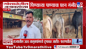 बीडमध्ये भीषण पाणीटंचाई! 375 गोवंश तहानलेले, गोशाळेला टँकरवर अवलंबून राहण्याची वेळ