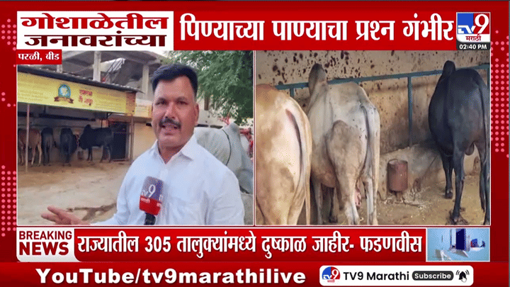 बीडमध्ये भीषण पाणीटंचाई! 375 गोवंश तहानलेले, गोशाळेला टँकरवर अवलंबून राहण्याची वेळ बीडमध्ये भीषण पाणीटंचाई! 375 गोवंश तहानलेले, गोशाळेला टँकरवर अवलंबून राहण्याची वेळ